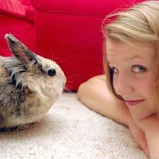 New and used items, cars, real estate, jobs, services, vacation rentals and more virtually anywhere in toronto (gta). How To Play With Your Rabbit Lafeber Co Small Mammals