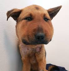 Kevin Timothy back in court Feb. 18