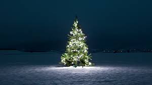 S & k holiday lighting. Sasktel Blog