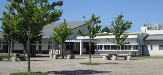 「茅ヶ崎市里山公園画像」の画像検索結果
