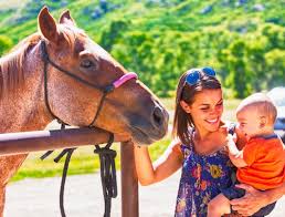 We are a community of professionals, united by our love of animals, and committed to advancing the profession of veterinary medicine and animal care. Montana Dude Ranch Activities Montana Resort Adventures