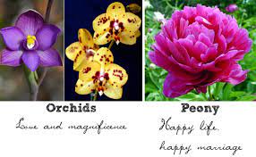 He decreed marriage to be an irreplaceable by contrast, lies about love and marriage originate with, and are perpetuated by, satan and his servants. Wedding Flowers What Do Wedding Flowers Symbolize