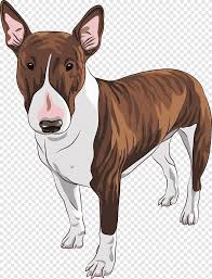 La oficina alimentaria y veterinaria, inspección veterinaria, legislación veterinaria, medicina veterinaria, clínica veterinaria Staffordshire Bull Terrier Pit Bull Ingles Juguete Terrier Bulldog Cachorro De Dibujos Animados Pintados A Mano Pintura De Acuarela Personaje Animado Png Pngegg