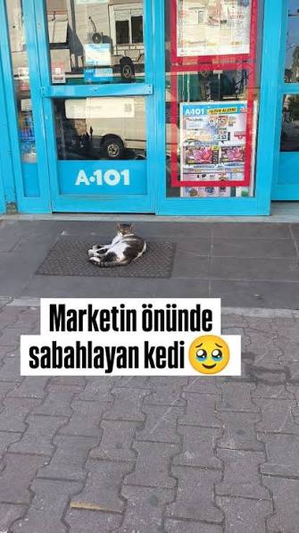 Mama Kaplarında Sessiz Bir Devrim: Sen Hazır mısın?