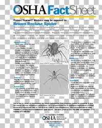 Page 20 721 Widow Spiders Png Cliparts For Free Download