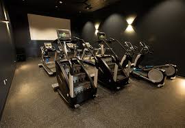 Vasa dryland training equipment builds strength and endurance. Vasa Fitness Gym Near Me