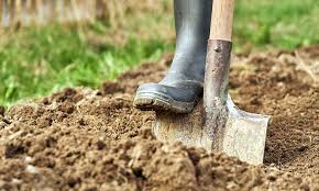 Check spelling or type a new query. How To Loosen Clay Soil For Gardening Top Hacks Garden Simply