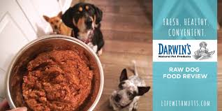 Cat food labels will tell you which ingredients are in the can or bag, but they won't tell you how and why those particular components are good for your kitty, so it's important to be informed before you start filling up your shopping cart. Happier Healthier Dogs Thanks To Darwin S Natural Pet Food Life With Mutts