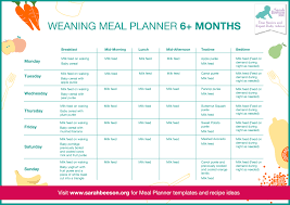 66 Up To Date Weaning Chart