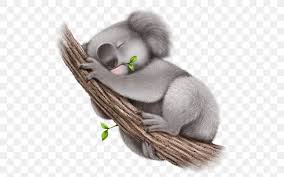 Koala Wallpaper Png 512x512px Koala Animal Computer Software Cuteness Digital Image Download Free Download 324 koala cartoon free vectors. koala wallpaper png 512x512px koala