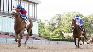 Therefore, it is also possible to find some very economical models in the above review, which in many cases are the machines that offer. 2020 Triple Crown Trail Owner Callaghan Talks Swiss Skydiver Battling Boys In Blue Grass America S Best Racing
