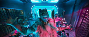 Clearly universal is hoping that cats will be the main event at the box office during the holidays. Cats Stream And Watch Full Film Online