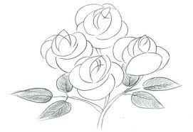 Gambar sketsa bunga mawar tersebut juga sangat mudah digambar, dengan goresan yang jelas dan tegas tentu akan memudahkan kalian dalam menggambar. 15 Contoh Gambar Sketsa Bunga Beragam Jenis Broonet