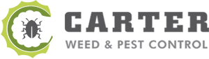From free weed removal estimates to weed treatment services and more! Carter Weed Pest Control Pest Control In Az