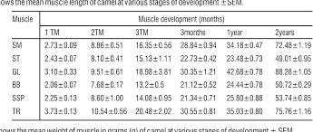 Black and white camels are available in distinct varieties and do not comprise of any harmful or toxic chemical additives. Growth Changes In Selected Muscles Of One Humped Camel Camelus Dromedarius Semantic Scholar