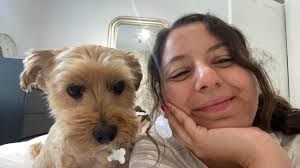 Pluto the labrador puppy with mega-oesophagus needs to eat in a highchair  or it could choke to death