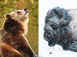 GALLERY: Grandpa With Dementia Goes Viral When Granddaughter Shares His  Amazing Unseen Photos Taken Throughout His Life Traveling the World