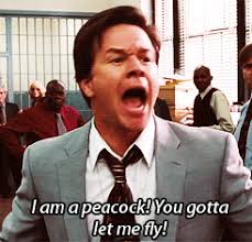 Mark Wahlberg In The Other Guys Gif The Other Guys Mark Wahlberg Fear Just For Laughs