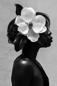 Artistic Black And White Art Photography Magnolia 2 Of Limited Edition Of 15 Photograph Abstract Photography Artistic Photography Fine Art Photography