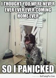 15 Funny Dog Memes For Dog Lovers Funny Dog Pictures Funny Dog Memes Funny Animal Pictures
