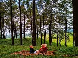 Mereka memilih menempuh jalur yang berada di lereng gunung slamet ketimbang berkubang kemacetan. 15 Destinasi Wisata Di Banyumas Yang Tidak Kalah Keren Dari Jogja Dan Semarang
