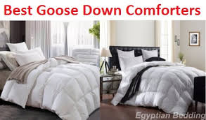 Top 10 Best Goose Down Comforters In 2019 Complete Guide