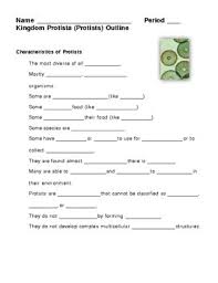 protist notes worksheets teaching resources teachers pay