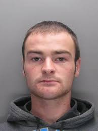 Man jailed for ten years over thefts