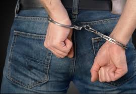 Maybe you would like to learn more about one of these? Resisting Arrest In Michigan Penalties Laws What To Do