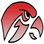 Hawks Hoops Summer Skills Camp OPTION 3