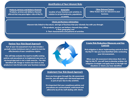 Risk Based Approach Workbook For Life Insurance Companies