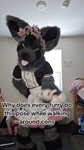 Understanding the T-Rex Arm Pose in Furry Conventions