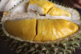 Check spelling or type a new query. 1kg Of Musang King Costs Rm500 In China And Malaysia Is Sending 4 Tonnes Of It There