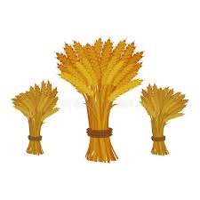 Wheat Sheaves Stock Illustrations 86 Wheat Sheaves Stock Illustrations Vectors Clipart Dreamstime Are you searching for wheat sheaf png images or vector? wheat sheaves stock illustrations 86
