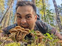 597 Handsome Guy Pine Forest Stock Photos