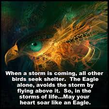 Image result for welcome to the internet meme
