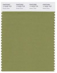Pantone Green Olive Pantone Verde Tonos De Verde Pantone