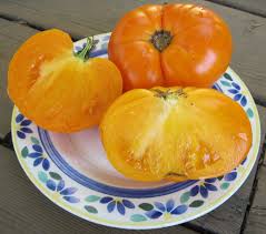 Image result for Pink 1983 Amana