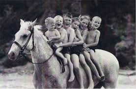 What Is The Highest Horse Jump Ever To Be Recorded? - Quora