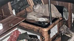 Image result for Ocean Mist 1983 Hussmann