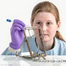 Rural and Environment Supporting women and girls in science