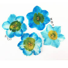 Izlozba slika od suvog cveca. Plava Narcis Promjer Ome Najjeftiniji Isporuka Cvijece Za Foto Aranzmane