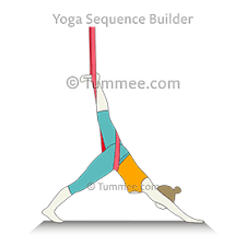 Three Legged Downward Facing Dog Pose Aerial Yoga Tri Pada Adho Mukha Svanasana Aerial Yoga Sequences Benefits Variations And Sanskrit Pronunciation T Aerial Yoga Poses Aerial Yoga Yoga Trapeze