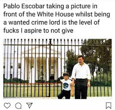 Pin By Danielle Glispey On Conglomeration With Images Pablo Escobar Memes Funny Pictures