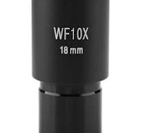 Amazon.com : 10X Microscope Eyepieces Accessories for ...