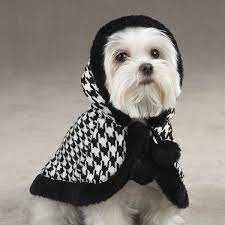 Dog Lovers Zack Zoey Houndstooth Dog Cape Dog Clothes Patterns Dog Coats Dog Clothes Diy
