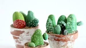 La sopravvivenza delle piante grasse durante la stagione invernale, se le temperature scendono sotto lo zero, dipende principalmente da due fattori: Cactus Sassi Dipinti Passion Diy