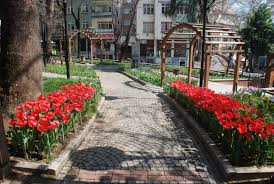 Yeni Hafta Herkese Saglik Mutluluk Ve Huzur Getirsin Fotograf