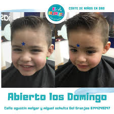 Alianza Soluciones Inmobiliarias