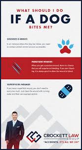 Check spelling or type a new query. Orange County Dog Bite Attorney Available 24 7